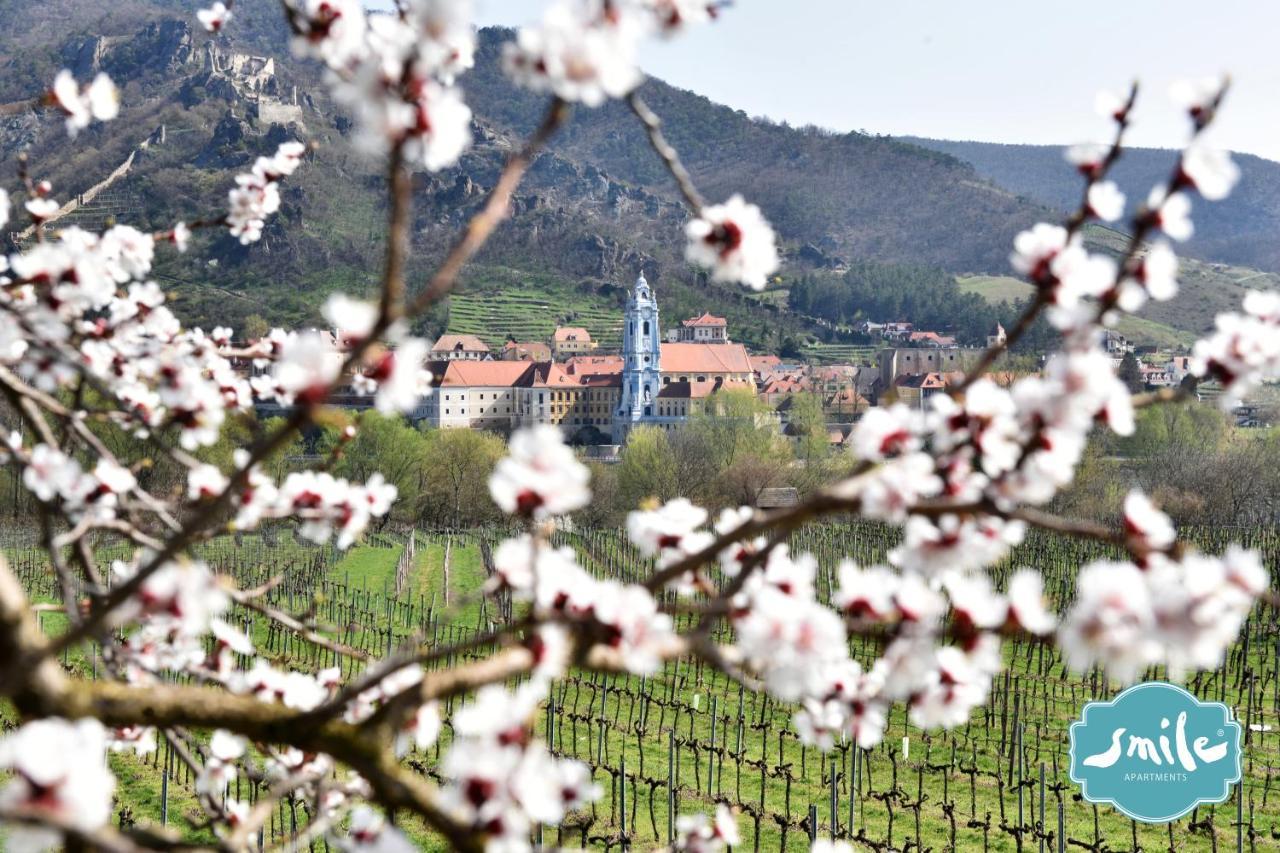Smile Zur Gozzoburg * Krems an der Donau